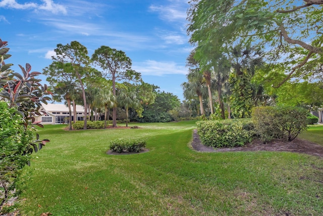 view of property's community featuring a yard