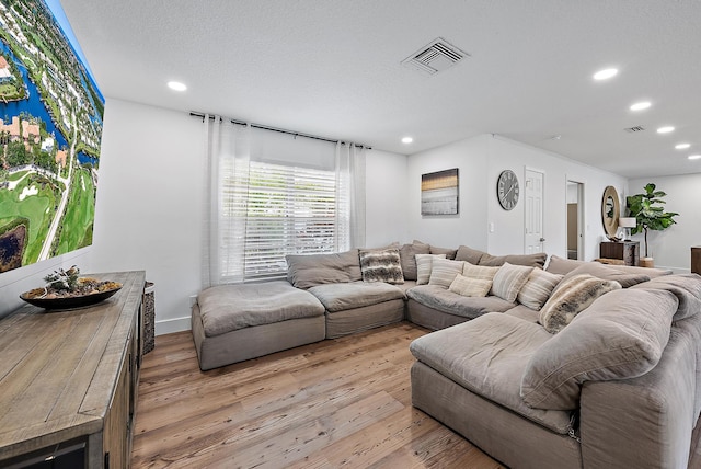 living room with a textured ceiling and light hardwood / wood-style flooring