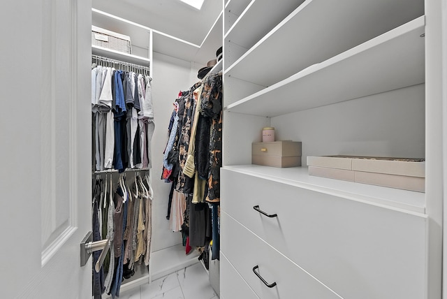 view of spacious closet