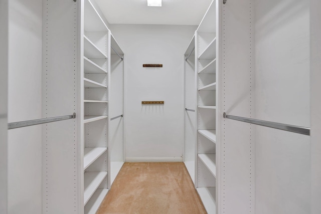 walk in closet with light carpet