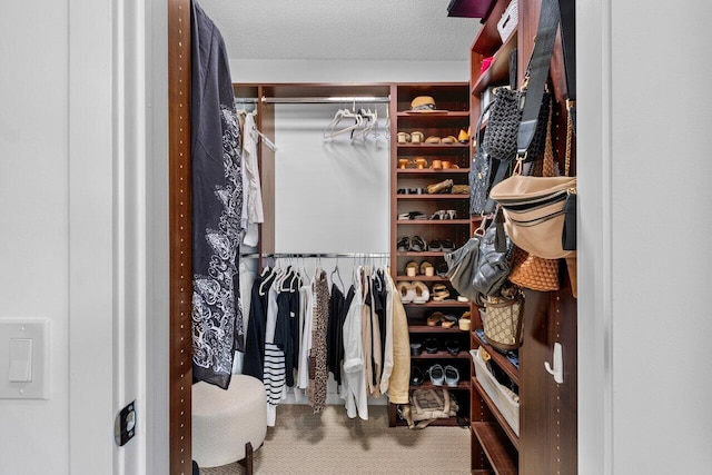 walk in closet featuring carpet