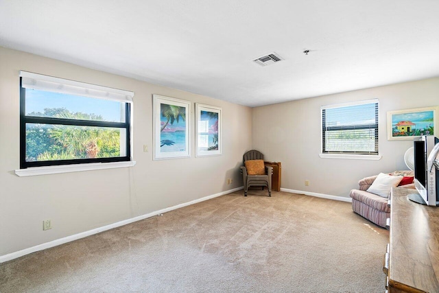 sitting room with light carpet