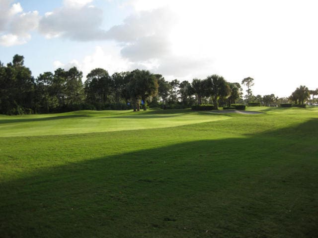 view of community with a lawn