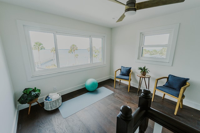 exercise area with ceiling fan and dark hardwood / wood-style floors