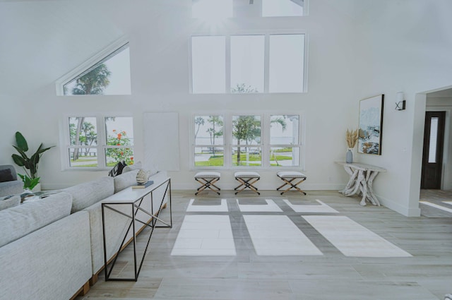 living room with a high ceiling and light hardwood / wood-style flooring