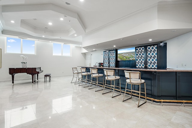 bar featuring decorative backsplash, a raised ceiling, and ornamental molding