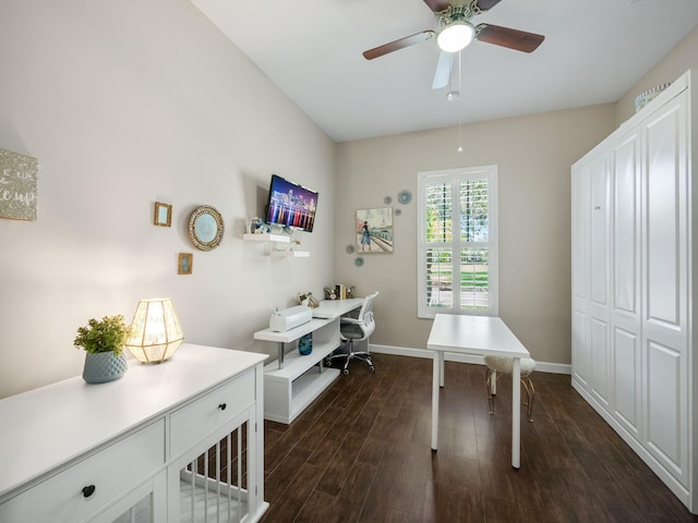 office featuring dark hardwood / wood-style floors and ceiling fan