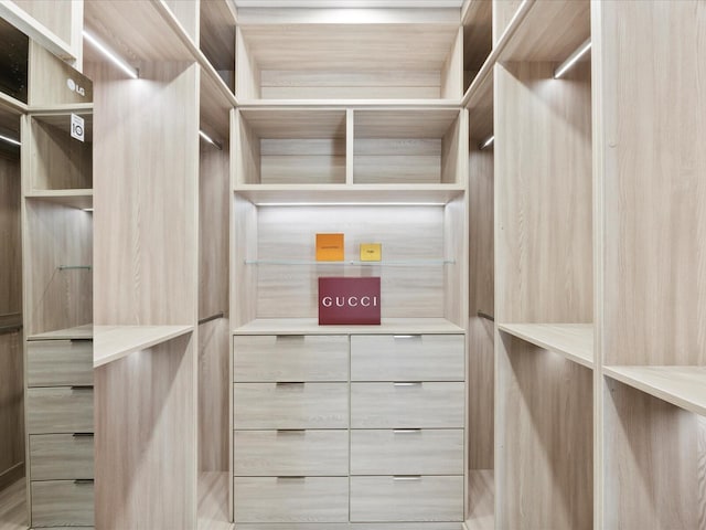 view of walk in closet