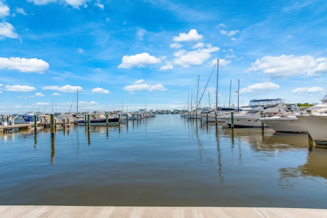 dock area with a water view