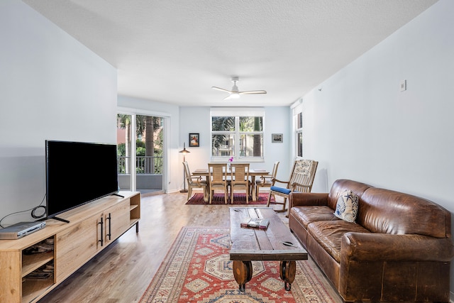 living room featuring hardwood / wood-style floors, ceiling fan, and a textured ceiling