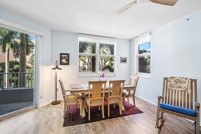 dining room featuring light wood-type flooring and ceiling fan