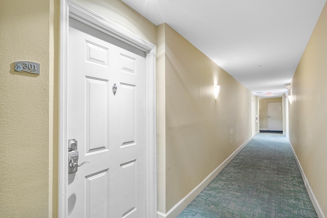 corridor featuring carpet floors