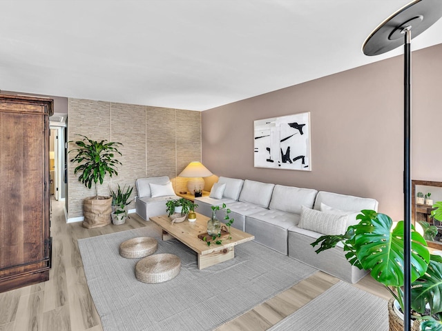 living room featuring light hardwood / wood-style flooring