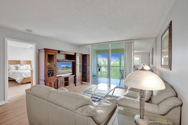 living room featuring light hardwood / wood-style floors and a textured ceiling