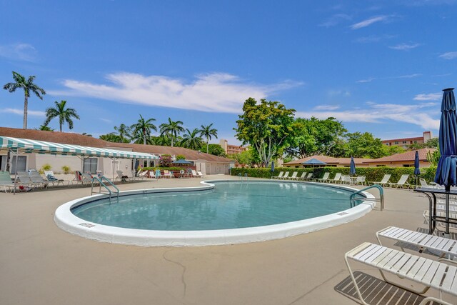 view of swimming pool featuring a patio area