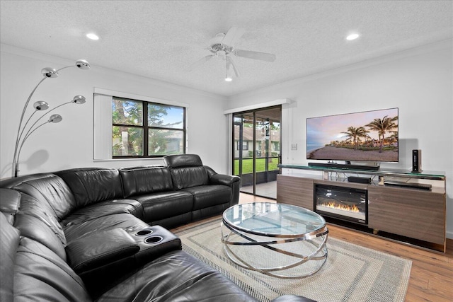 living room featuring ceiling fan, crown molding, a textured ceiling, and light hardwood / wood-style flooring