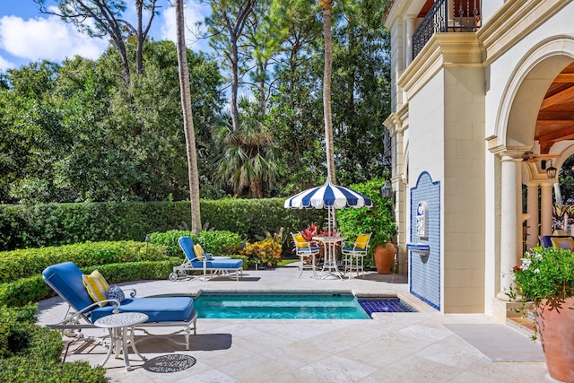 view of swimming pool with a patio