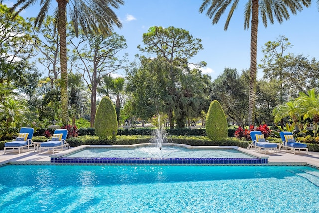 view of pool featuring a patio