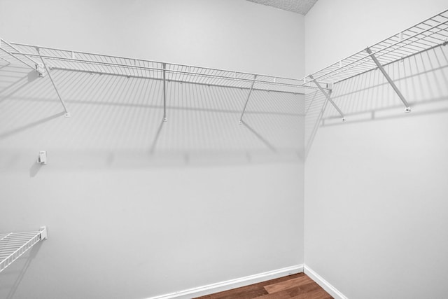 spacious closet with wood-type flooring