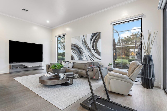 living room with hardwood / wood-style floors and ornamental molding