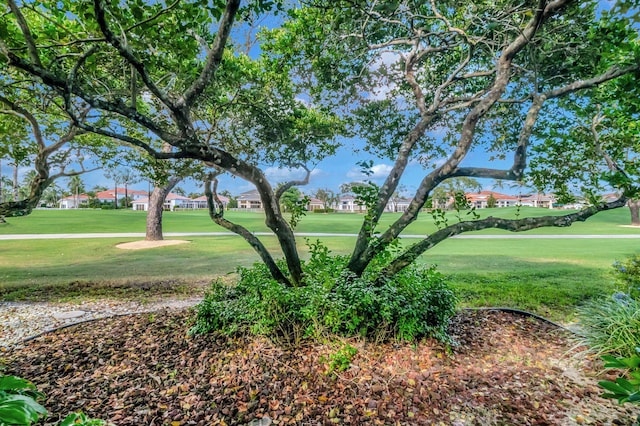 view of community featuring a yard