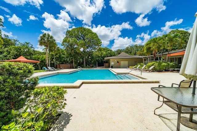 view of swimming pool featuring a patio