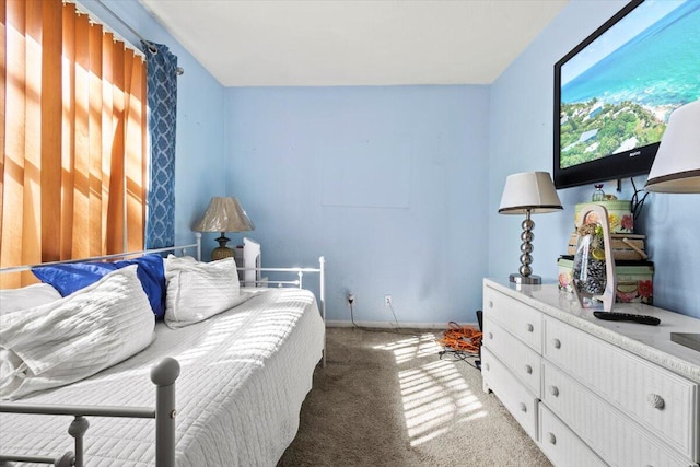 bedroom featuring carpet flooring