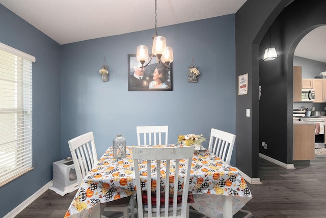 dining room with dark wood-type flooring, a wealth of natural light, and a chandelier