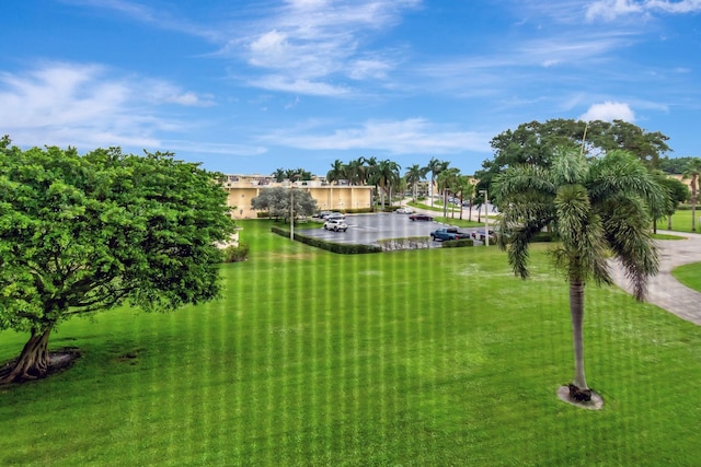 2300 NE 1st Ln Unit 307, Boynton Beach, FL 33435 - view of grassy yard