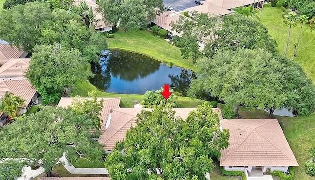 aerial view with a water view