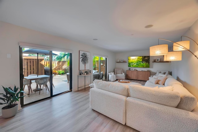 living room featuring light hardwood / wood-style floors