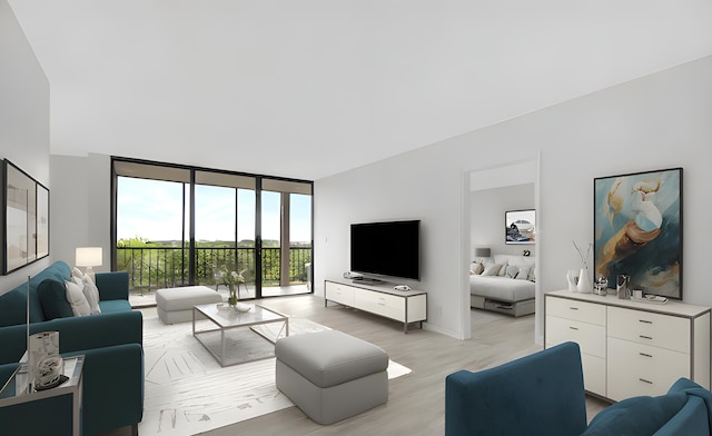 living room featuring light hardwood / wood-style floors