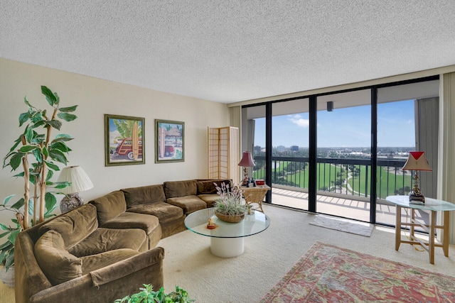 carpeted living room with floor to ceiling windows and a textured ceiling