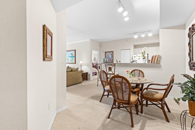 carpeted dining area with rail lighting