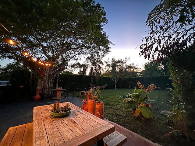 view of yard at dusk