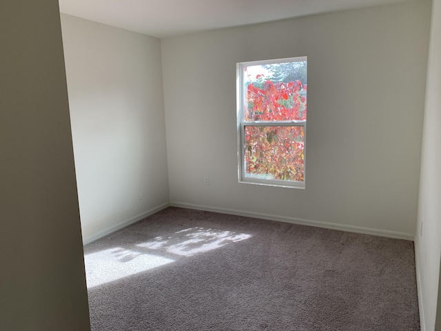 unfurnished room featuring carpet floors