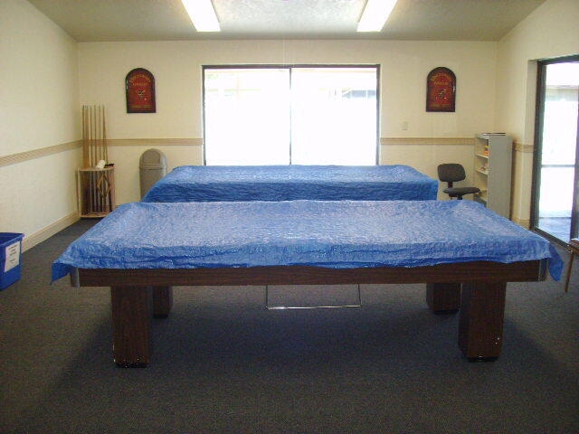 carpeted bedroom with ceiling fan and lofted ceiling