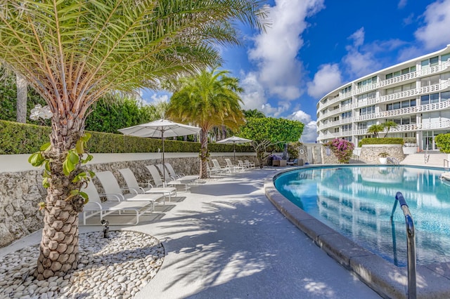 view of pool featuring a patio area