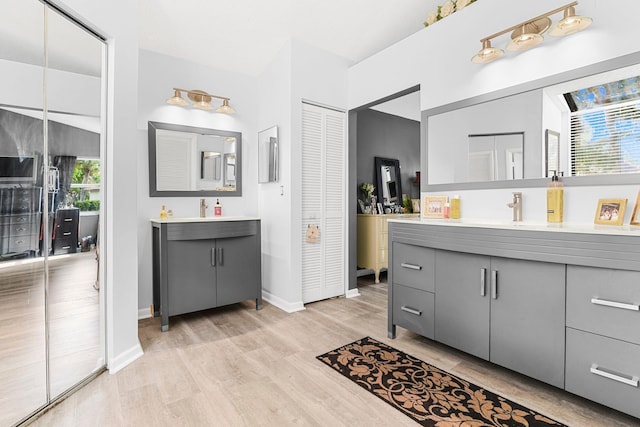 bathroom with hardwood / wood-style flooring and vanity