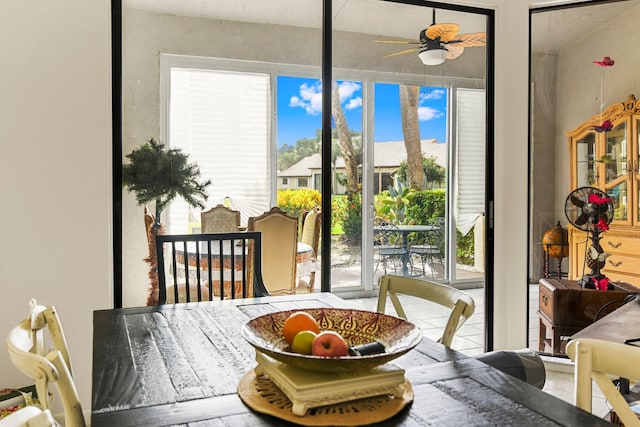 dining space featuring ceiling fan and wood-type flooring