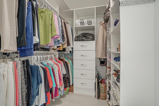 view of spacious closet