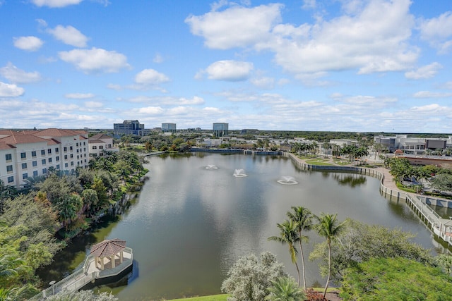 property view of water