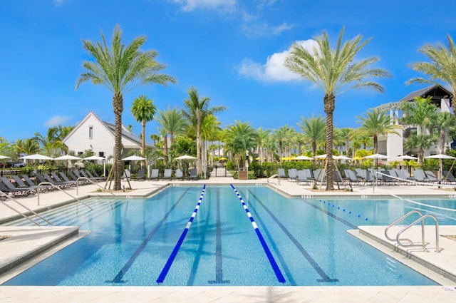 view of pool featuring a patio