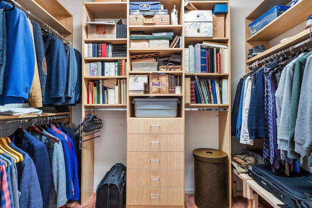 walk in closet featuring carpet