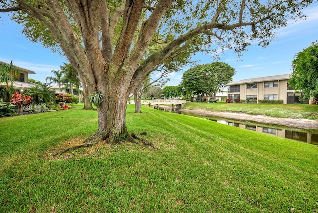 view of yard with a water view