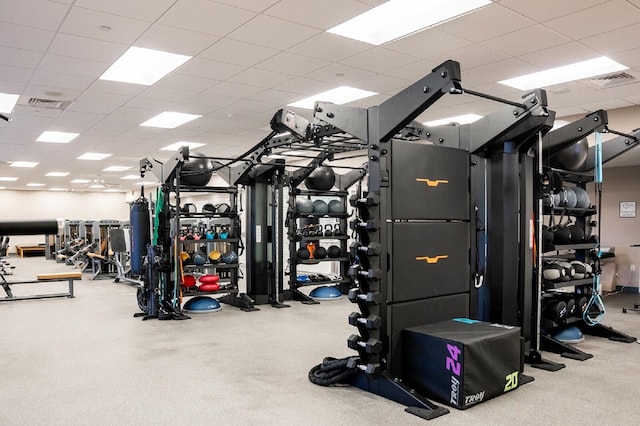 workout area featuring a paneled ceiling and carpet floors