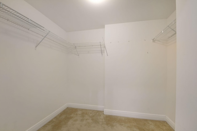 spacious closet featuring light carpet