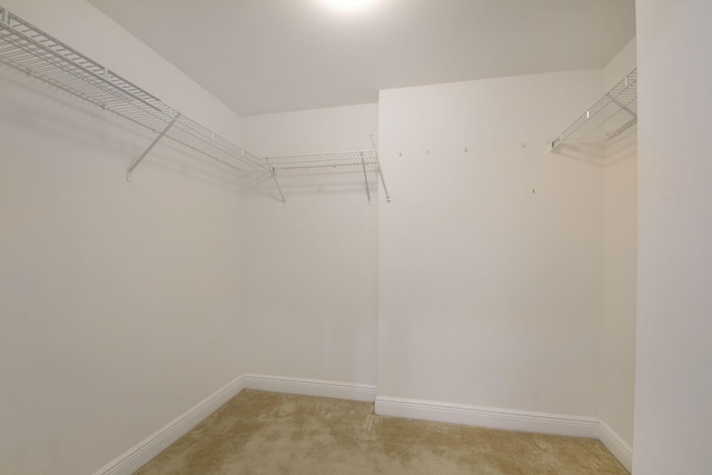 610 Clematis St Unit 638, West Palm Beach, FL 33401 - walk in closet featuring light colored carpet