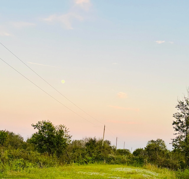 view of nature at dusk