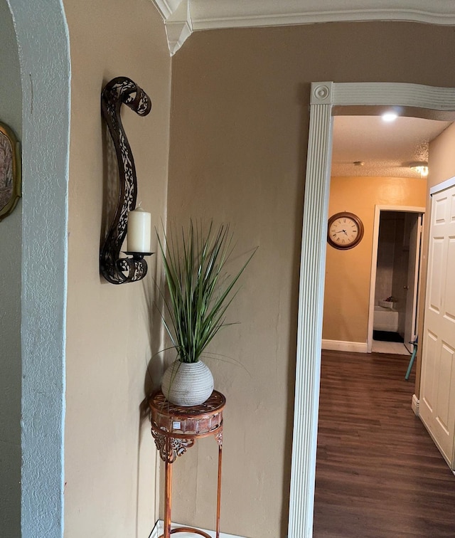 details with hardwood / wood-style flooring, decorative columns, and ornamental molding